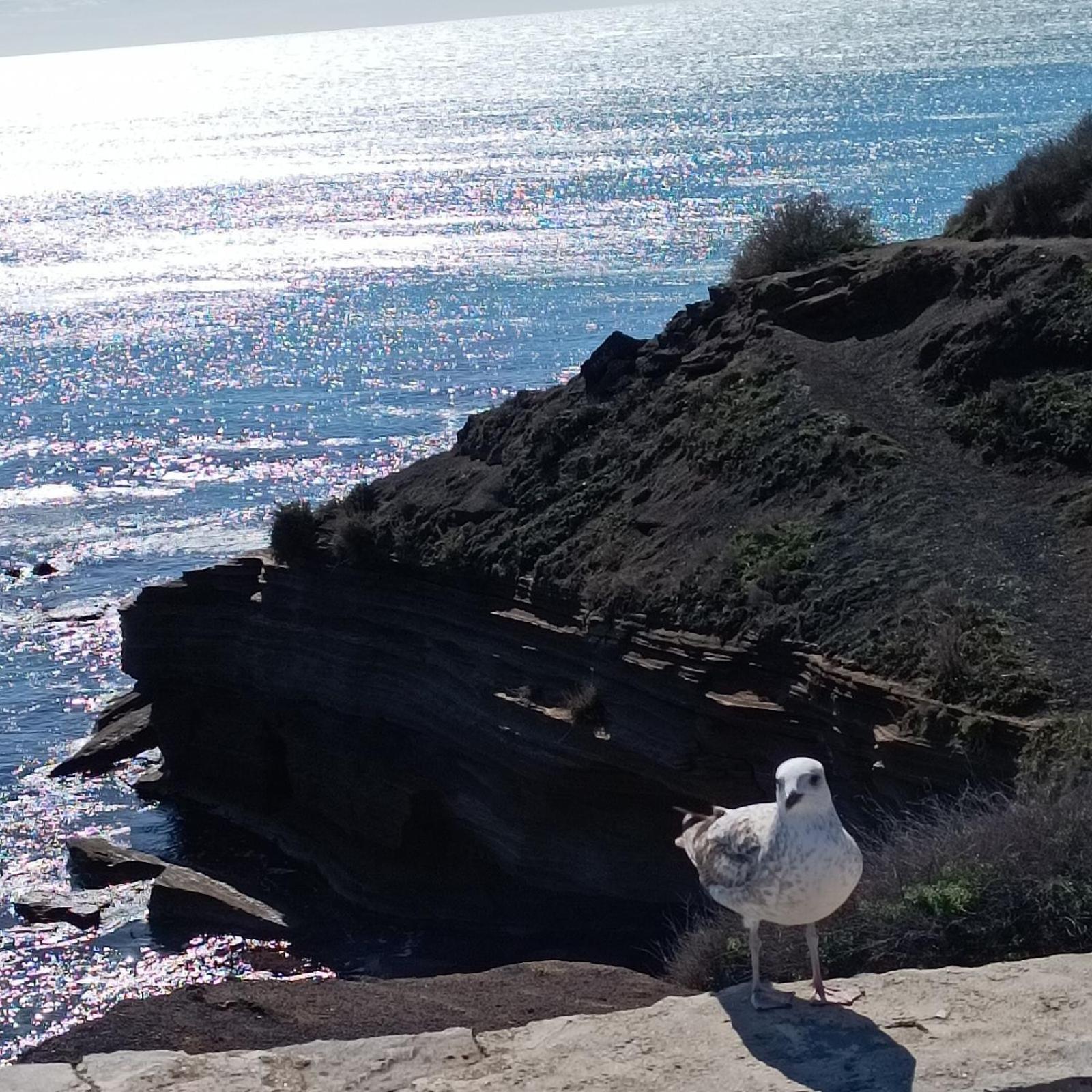 Au Cap ! Διαμέρισμα Agde Εξωτερικό φωτογραφία